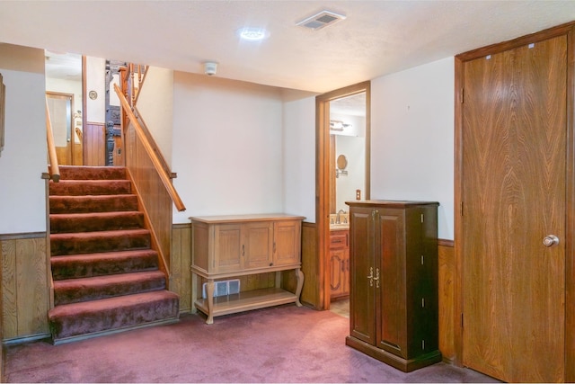 interior space with carpet flooring, wooden walls, and sink