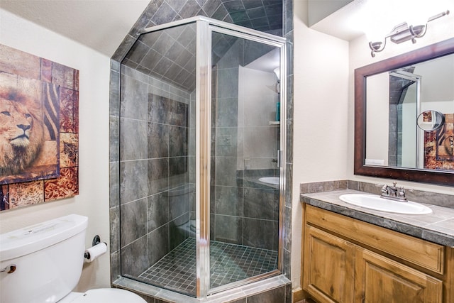 bathroom featuring vanity, an enclosed shower, and toilet