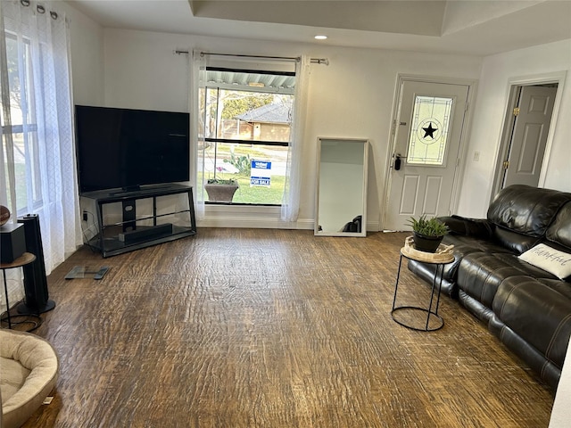 living area with a raised ceiling and wood finished floors