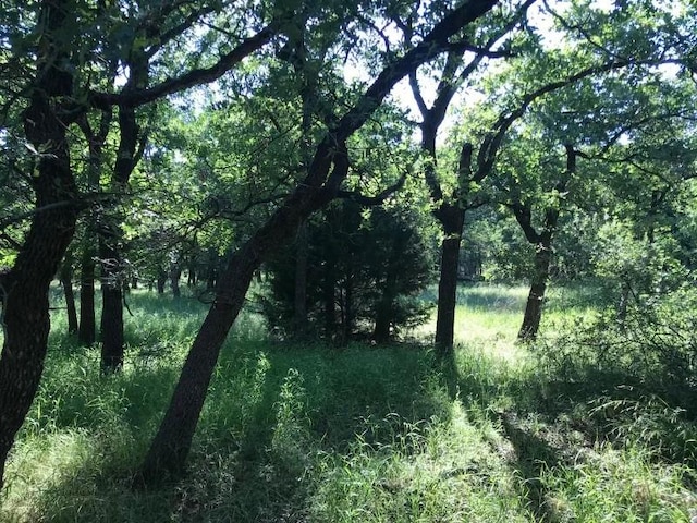 Listing photo 3 for 00 Ridgeline Dr, Chico TX 76431