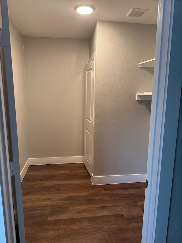 spacious closet featuring dark wood-type flooring