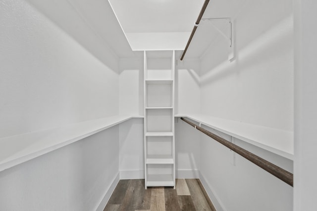 walk in closet with dark hardwood / wood-style flooring