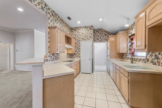 kitchen featuring light carpet, light brown cabinetry, and kitchen peninsula