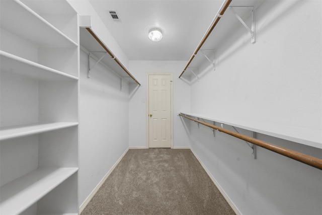 walk in closet featuring carpet flooring