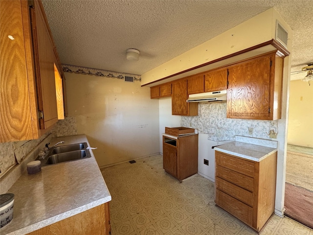 kitchen with sink and a textured ceiling