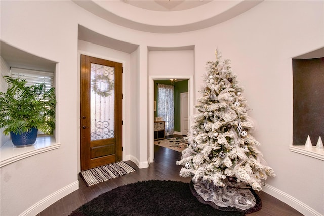 foyer entrance with dark wood-type flooring