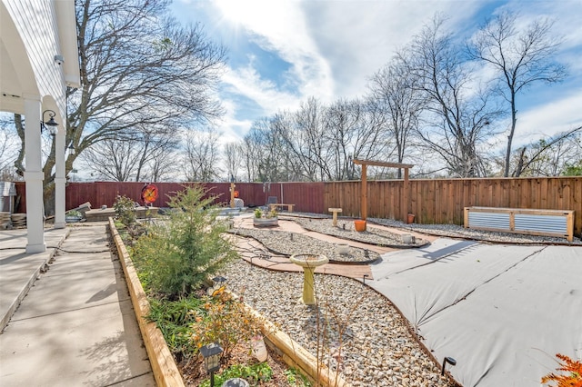 view of yard with a patio, a fenced backyard, and a vegetable garden