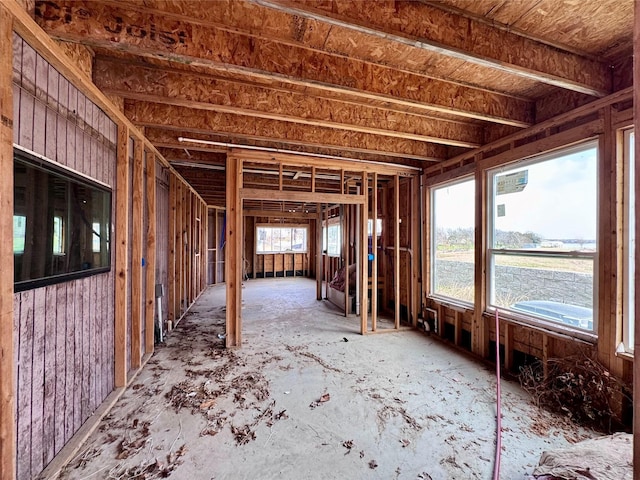 miscellaneous room with plenty of natural light