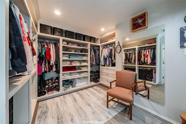 spacious closet featuring wood-type flooring