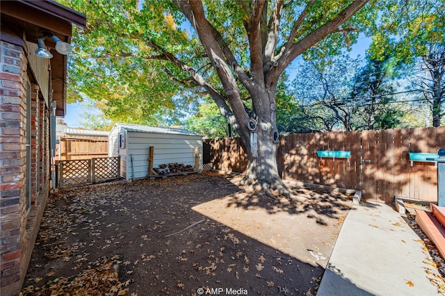 view of yard featuring a shed