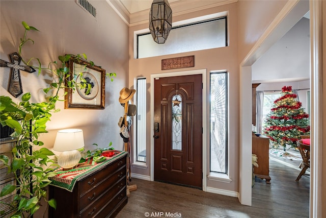 foyer entrance with a towering ceiling and dark hardwood / wood-style flooring