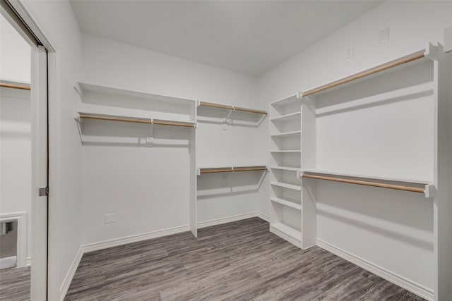 spacious closet with hardwood / wood-style floors