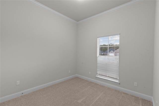 carpeted spare room featuring crown molding