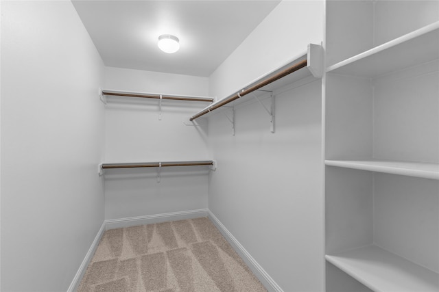 walk in closet featuring light colored carpet