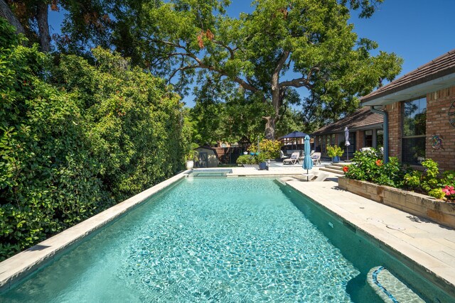 view of pool with a patio