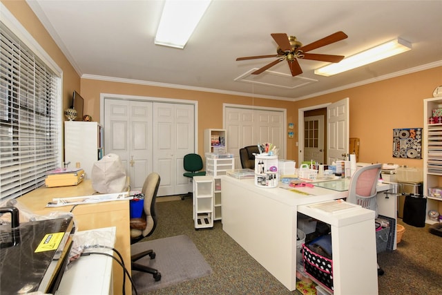 carpeted office space with ceiling fan and ornamental molding