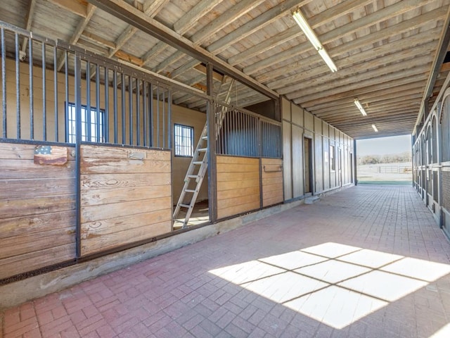 view of horse barn