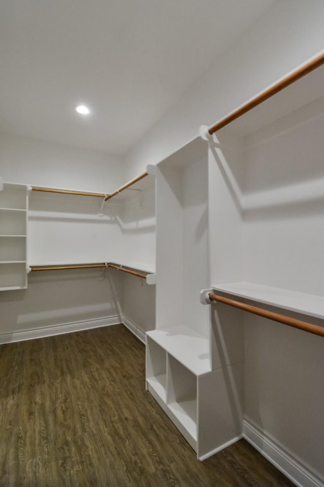 walk in closet featuring dark hardwood / wood-style flooring