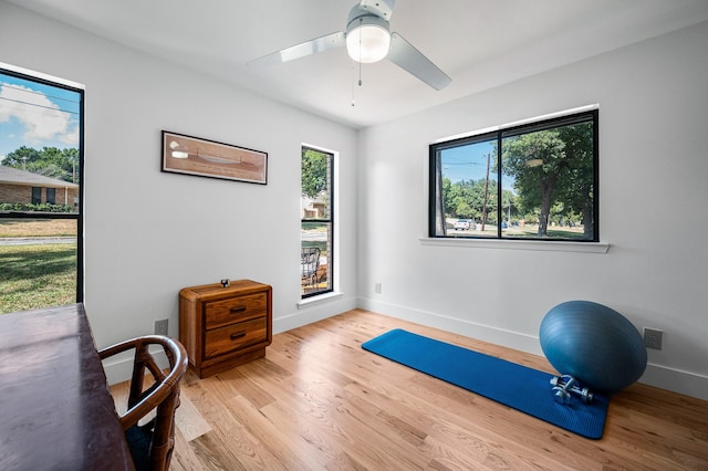 exercise area with ceiling fan and light hardwood / wood-style floors