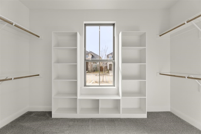 spacious closet with carpet floors