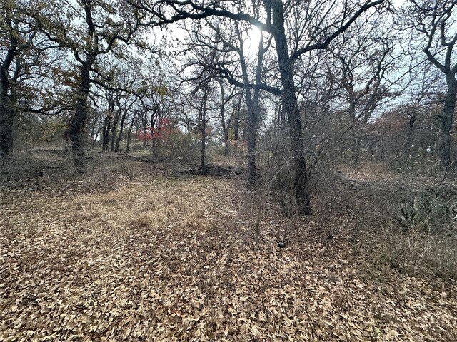 Listing photo 3 for TBDLOT48 County Road 600, Brownwood TX 76801