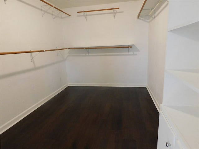 spacious closet with dark hardwood / wood-style floors