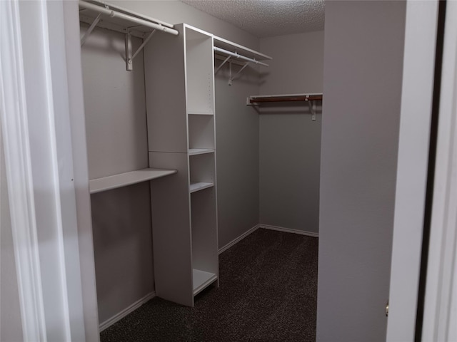 walk in closet with carpet flooring