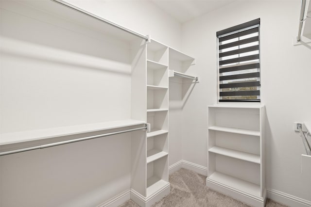 spacious closet with light carpet