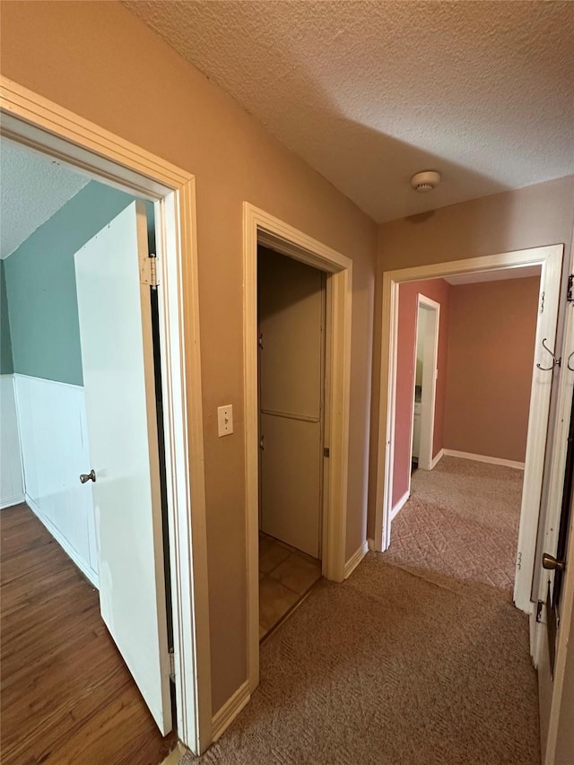 hall featuring carpet floors and a textured ceiling