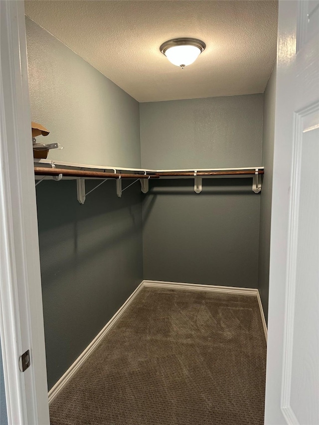 spacious closet with carpet floors