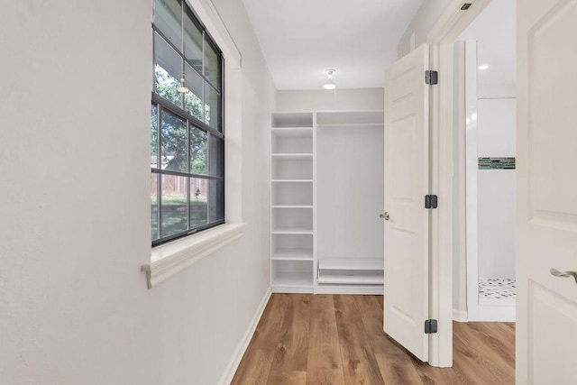 spacious closet featuring wood-type flooring