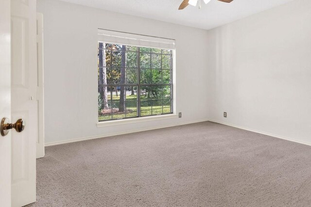 carpeted empty room with ceiling fan and a healthy amount of sunlight