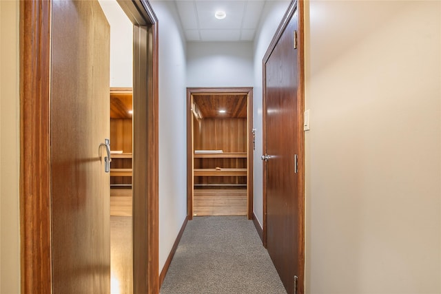 corridor with carpet floors