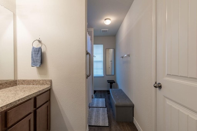 bathroom with hardwood / wood-style flooring and vanity