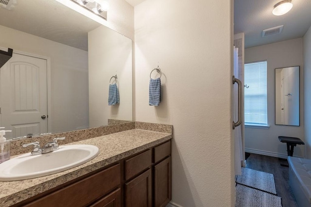 bathroom with vanity and wood-type flooring