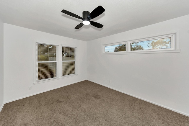 empty room featuring ceiling fan and carpet flooring