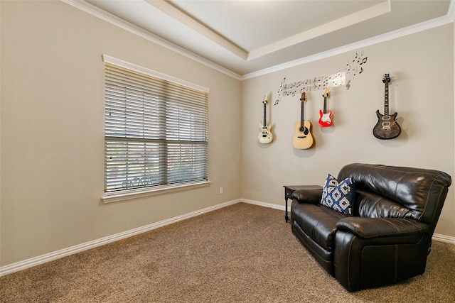 sitting room with crown molding, a raised ceiling, and carpet floors