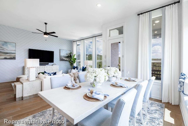 dining room with ceiling fan and light hardwood / wood-style flooring