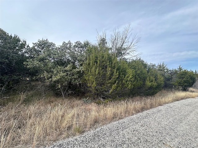 Listing photo 2 for TBDLOT12 County Road 611, Brownwood TX 76801