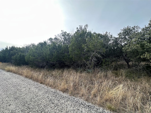 Listing photo 3 for TBDLOT12 County Road 611, Brownwood TX 76801