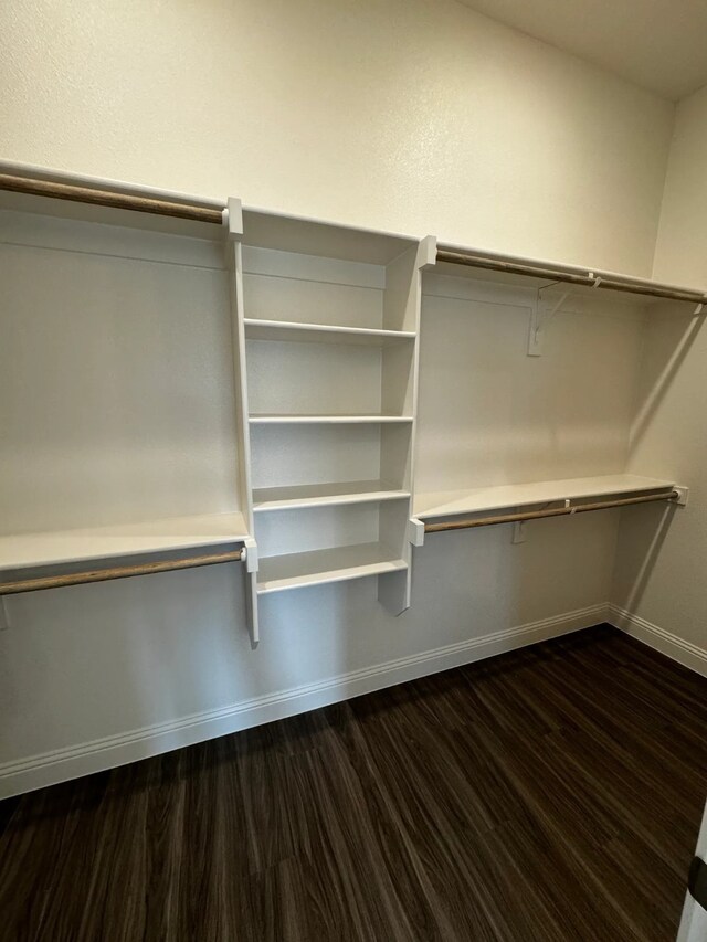 spacious closet with dark hardwood / wood-style floors