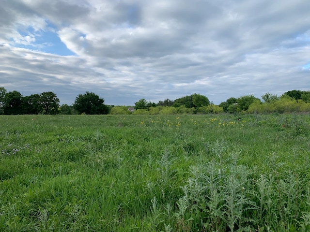 view of landscape with a rural view