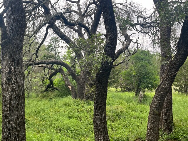 3200 Fm 590, Zephyr, TX 76890