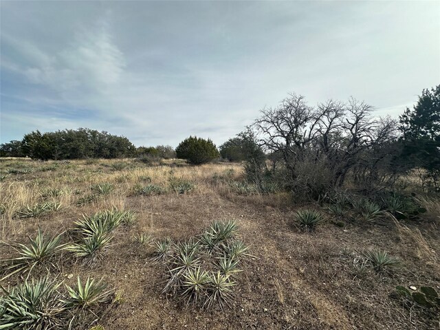 Listing photo 3 for TBDLOT45 County Road 589, Brownwood TX 76801