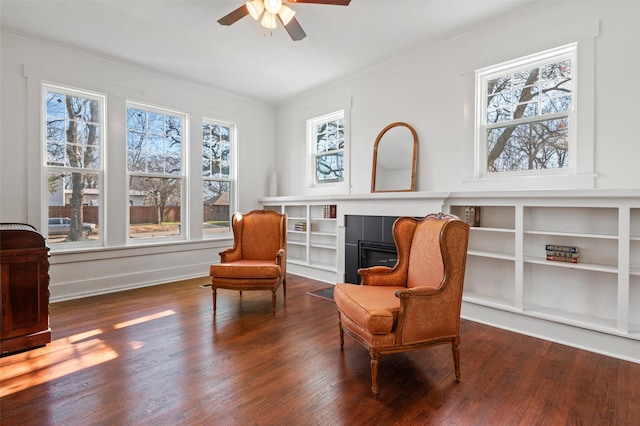 sitting room featuring ceiling fan and dark wood-type flooring