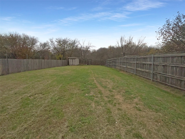 view of yard with a storage unit