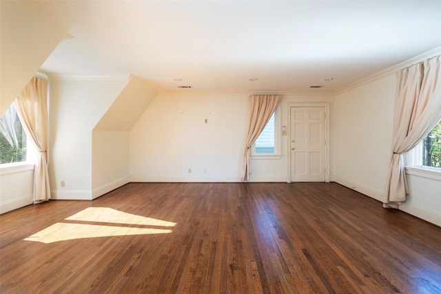 additional living space with dark hardwood / wood-style flooring