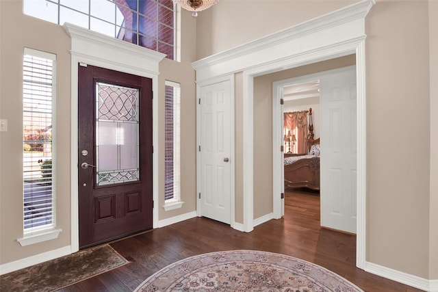 foyer with a towering ceiling and dark hardwood / wood-style floors