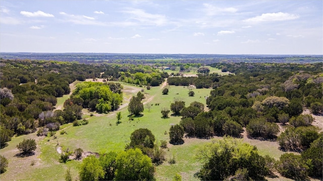 drone / aerial view featuring a rural view