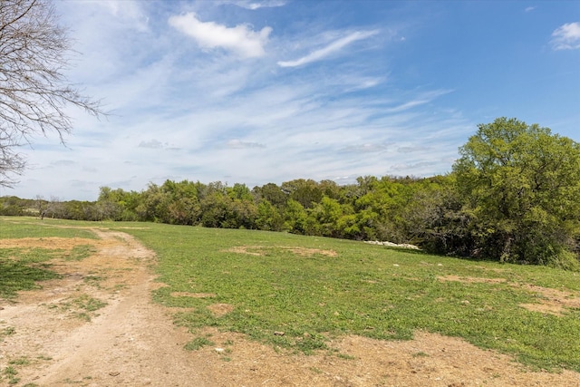 view of nature featuring a rural view